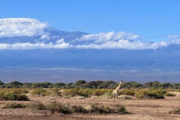 kenia